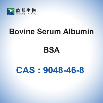 Λυοφιλοποιημένη λύση σκόνη λευκωματίνης CAS 9048-46-8 BSA βοοειδών ορών