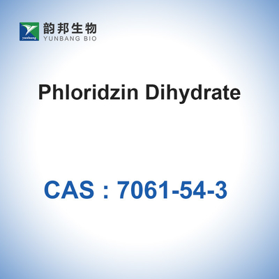 CAS 7061-54-3 Dihydrate 98% Phloridzin καλλυντικές πρώτες ύλες
