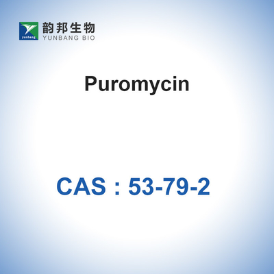 ISO Puromycin Stylomycin υγρό CAS 53-79-2