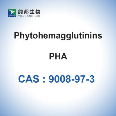 Λυοφιλοποιημένη σκόνη κοινών φασολιών phytohemagglutinin-μ CAS PHA 9008-97-3