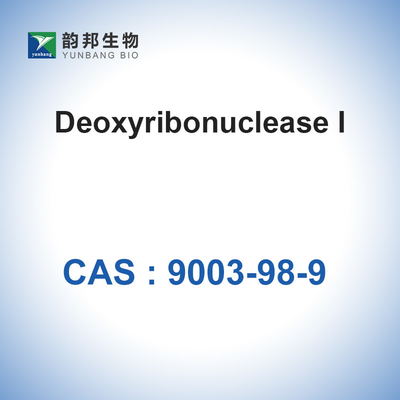 Καταλύτες Ένζυμα DNase I (＞2000u/Mg) CAS 9003-98-9 Δεοξυριβονουκλεάση I Βιολογική