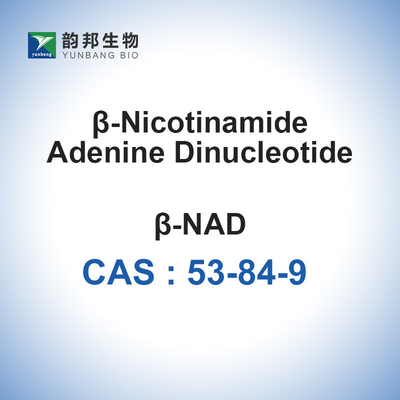 Nicotinamide NAD β Dinucleotide αδενίνης λυοφιλοποιημένο ένυδρη ουσία CAS 53-84-9