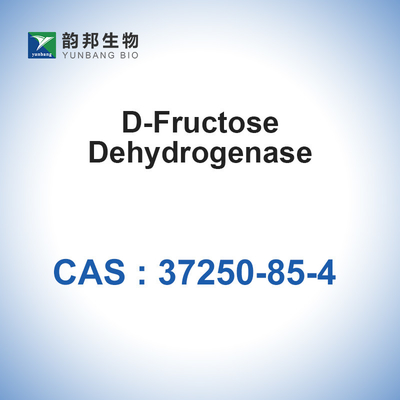 CAS 37250-85-4 D-Fructose Dehydrogenase 20u/mg Βιολογικοί Καταλύτες Ένζυμα