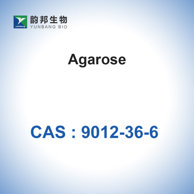 Βιοχημικό Glycoside BioReagent αγαρόζης CAS 9012-36-6