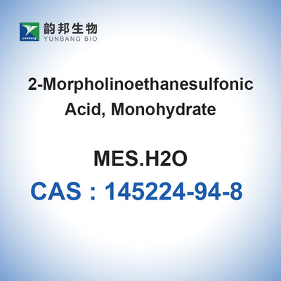 Monohydrate CAS 145224-94-8 MES βιολογικό 98% μοριακό αντιδραστήριο της βιολογίας απομονωτών