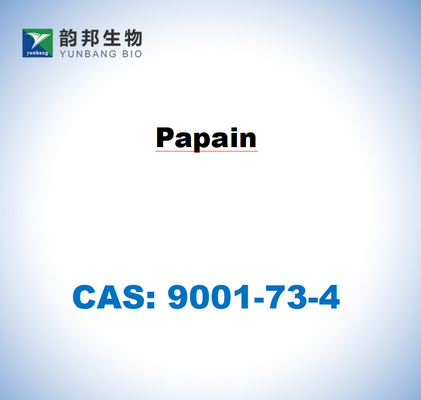 CAS 9001-73-4 Παπαΐνη από λατέξ παπάγιας