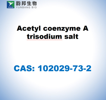 CAS 102029-73-2 Ακετυλοκοενζύμιο Α τρινατρίου αλάτι