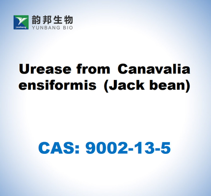 CAS 9002-13-5 Ουρεάση από Canavalia ensiformis (καλαμπόκι)