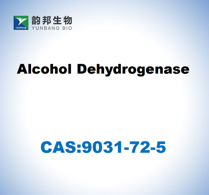 CAS 9031-72-5 Αλκοολική αφυδρογονάση