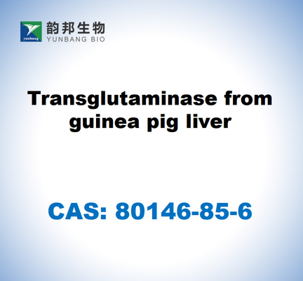 CAS 80146-85-6 Τρανσγλουταμινάση από συκώτι χοιριού της Γουινέας