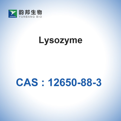 Ενζυμικό Lysozyme καταλυτών CAS 12650-88-3 βιολογικό από το ασπράδι κοτόπουλου