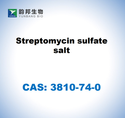 CAS 3810-74-0 Στρεπτομυκίνη θειικού άλατος Streptomyces sp.