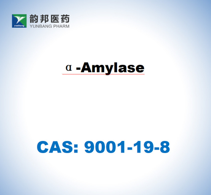 CAS 9001-19-8 Α-αμυλάση από πάγκρεας χοίρων