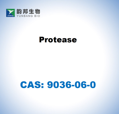 CAS 9036-06-0 Πρωτεάση από Streptomyces griseus