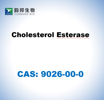 CAS 9026-00-0 Εστεράση χοληστερόλης από Pseudomonas fluorescens
