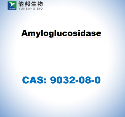 CAS 9032-08-0 Αμυλογλυκοσιδάση από Aspergillus niger