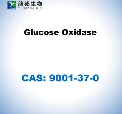 CAS 9001-37-0 Οξειδάση γλυκόζης από Aspergillus niger
