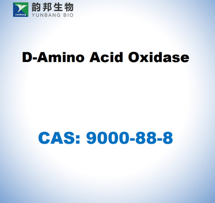 CAS 9000-88-8 Οξειδάση D-αμινοξέων από νεφρό χοίρων