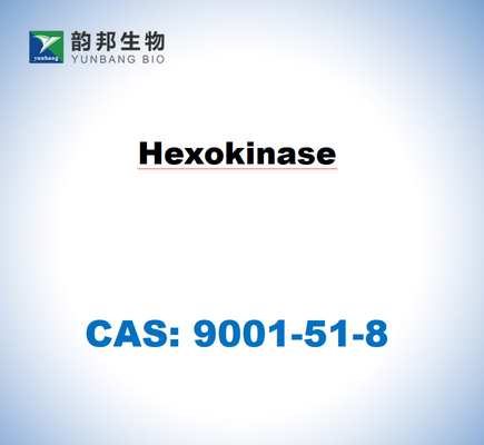 CAS 9001-51-8 Ηξοκινάση από το Saccharomyces cerevisiae