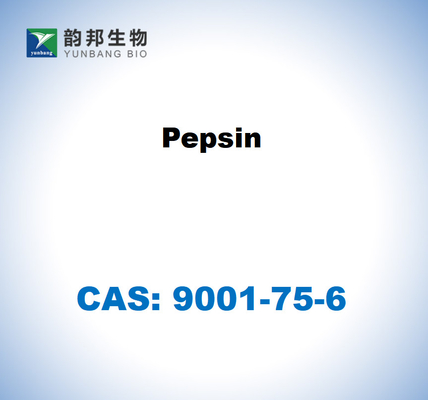 CAS 9001-75-6 Πεπσίνη από γαστρικό βλεννογόνο χοίρων