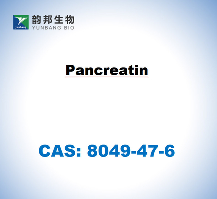 CAS 8049-47-6 Πανκρεατίνη από πάγκρεας χοίρων