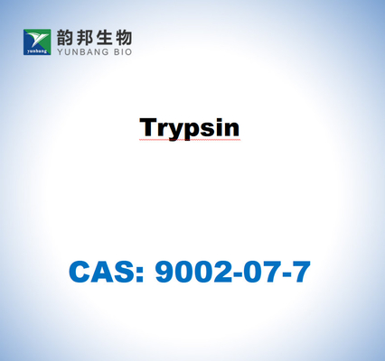 CAS 9002-07-7 Τριψίνη από πάγκρεας χοίρων