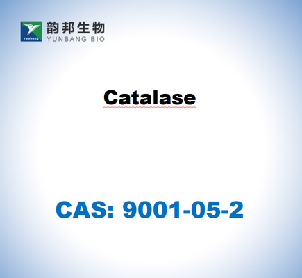 CAS 9001-05-2 Καταλάση από ήπαρ βοοειδών