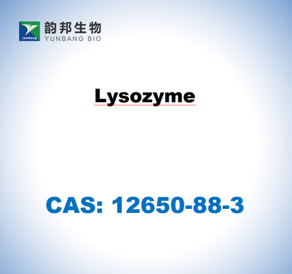 CAS 12650-88-3 Λυζοζίμη από λευκό αυγού κότας