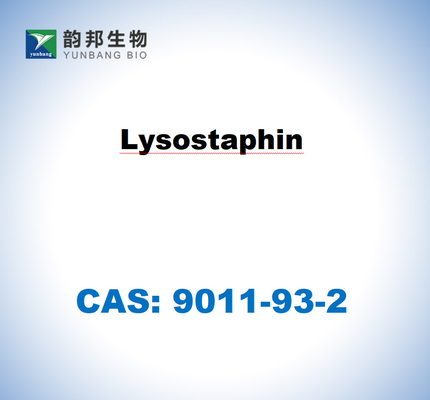 CAS 9011-93-2 Λυσοσταφίνη από Staphylococcus Staphylolyticus