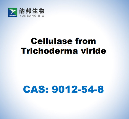 CAS 9012-54-8 Κυτταρίωση από Trichoderma Viride