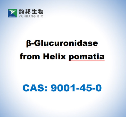 CAS 9001-45-0 Β-γλυκουρονιδάση από την έλικα Pomatia
