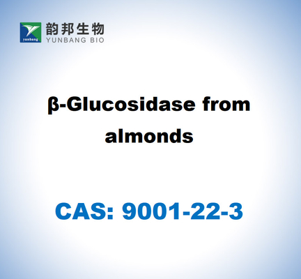 CAS 9001-45-0 Β-γλυκοσιδάση από αμύγδαλα