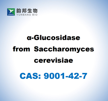 CAS 9001-42-7 Α-γλυκοσιδάση από Saccharomyces Cerevisiae