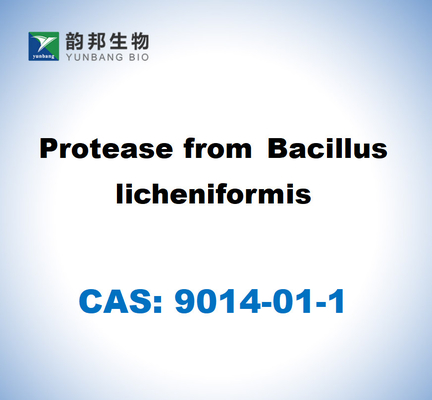 CAS 9014-01-1 Πρωτεάση από το Bacillus Licheniformis