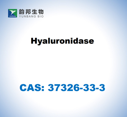CAS 37326-33-3 Υαλουρονιδάση από όρχεις βοοειδών