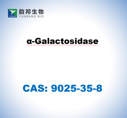 CAS 9025-35-8 Α-γαλακτοσιδάση από Aspergillus Niger