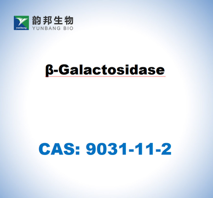 CAS 9031-11-2 β-γαλακτοσιδάση από Aspergillus niger