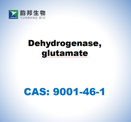 CAS 9001-46-1 Δαιδρογονάση, γλουταμικό