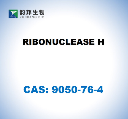 CAS 9001-99-4 ΡΙΒΟΝΥΚΛΕΑΣΗ H