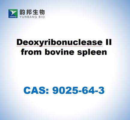 CAS 9025-64-3 Δεοξυριβονουκλεάση ΙΙ από σπλήνα βοοειδών
