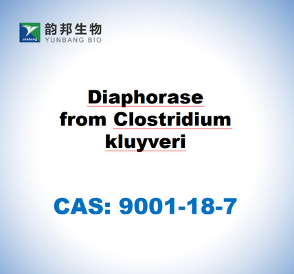 CAS 9001-18-7 Διαφοράση από Clostridium kluyveri