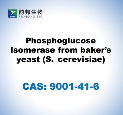 CAS 9001-41-6 Ισομεράση φωσφογλυκόζης από μαγιά αρτοποιού (S. cerevisiae)
