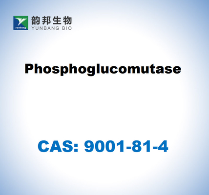 CAS 9001-81-4 Φωσφογλυκομουτάση ΕΚ 5.4.2.2