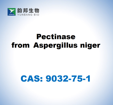 CAS 9032-75-1 Πεκτινάση από Aspergillus niger