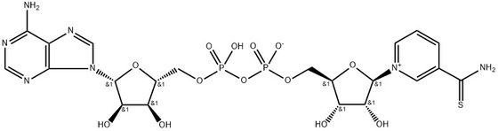 CAS 4090-29-3 Θιονικοτιναμίδη Αδενίνη Δινουκλεοτίδιο