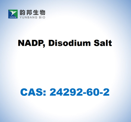 CAS 24292-60-2 NADP, διανατρίου αλάτι