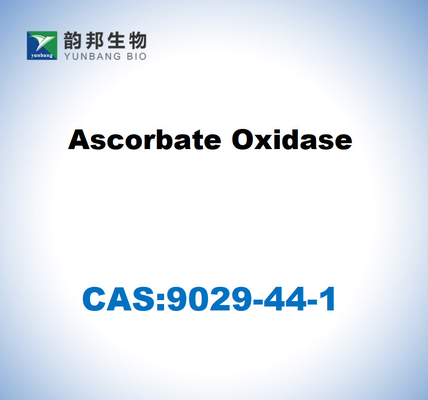 CAS 9029-44-1 Οξειδωτική ασκορβική