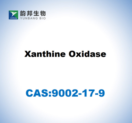 CAS 9002-17-9 Ξανθίνη οξειδάση