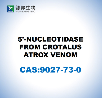 CAS 9027-73-0 5'-νουκλεοτιδάση από δηλητήριο CROTALUS ATROX