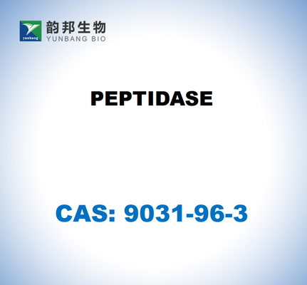 CAS 9031-96-3 ΠΕΠΤΙΔΑΣΗ